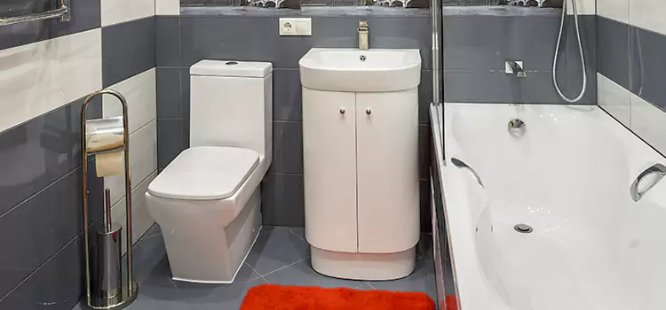 Hansgrohe Shaving Mirror Altoona